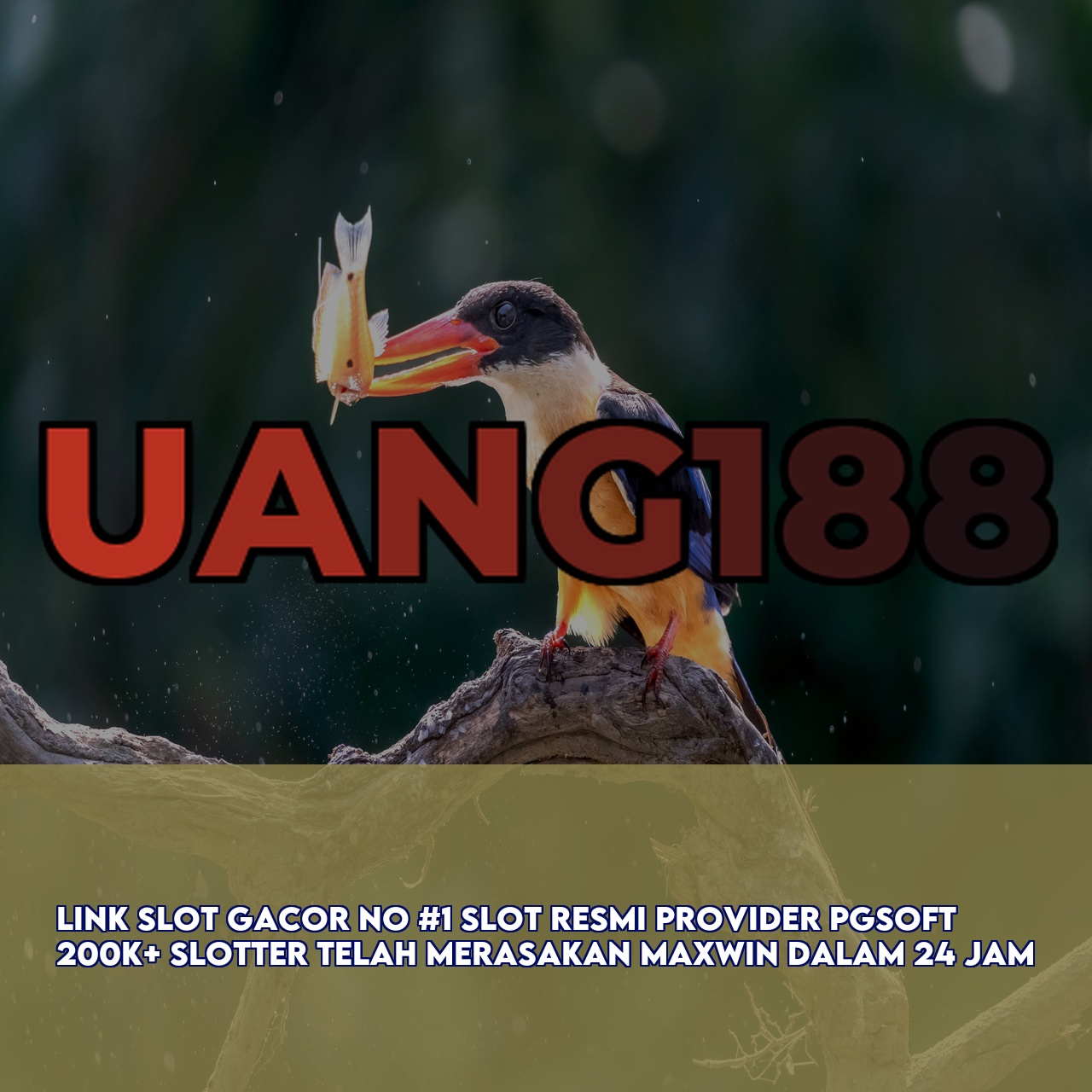 UANG188 : Official Game Online Site featuring Massive Daily Jackpots Secure Transactions