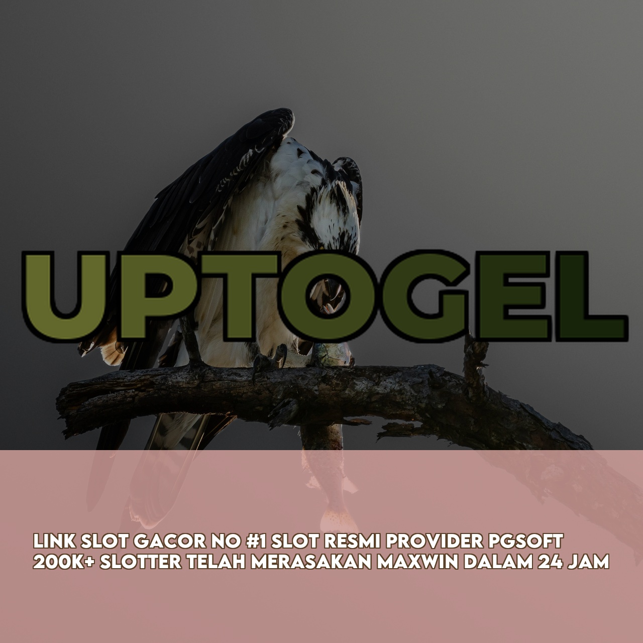 UPTOGEL : Best Gaming Website featuring High RTP & Maxwin Games & 24/7 Support