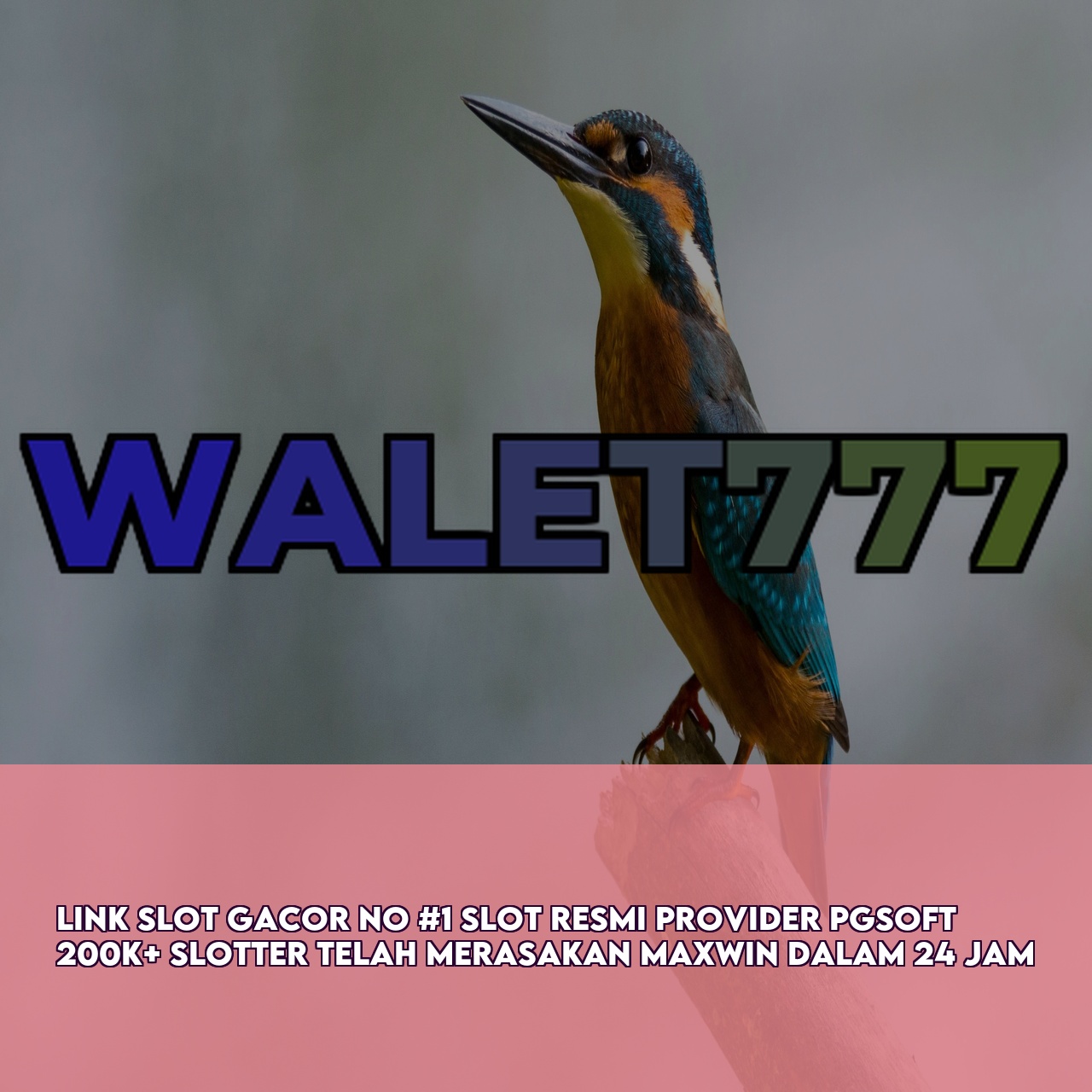 WALET777 - Official Game Online Site featuring Massive Daily Jackpots Instant Access